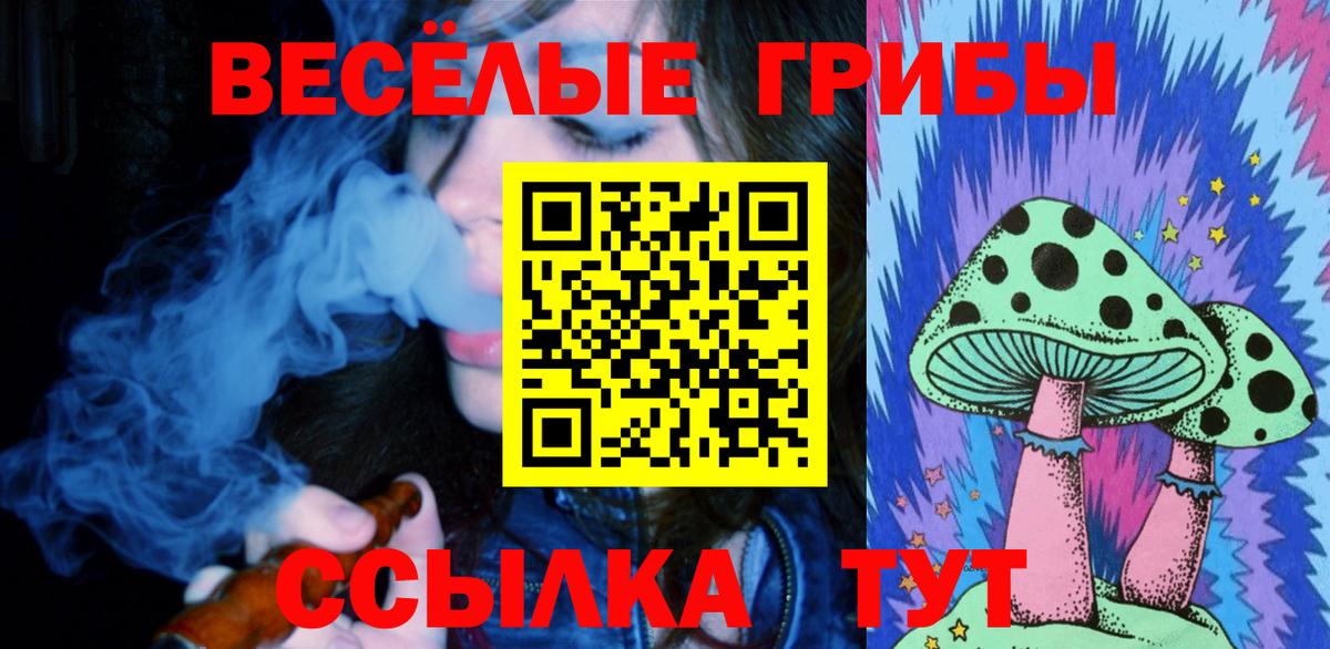 Партизанск  Галлюциногенные грибы Psilocybine cubensis  Вход с VPN 